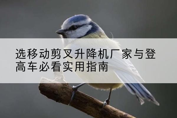 海淀区电动升降机厂家-选移动剪叉升降机厂家与登高车必看实用指南