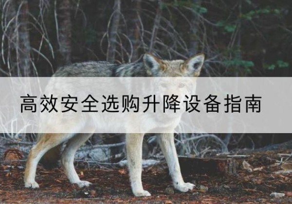 海淀区升降货梯厂家推荐-*安全选购升降设备指南